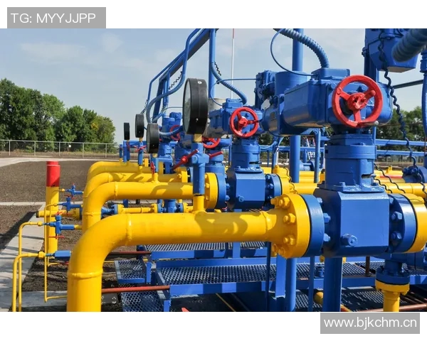 数据分析视角下LNG市场状态与表现的深度探讨与趋势预测 数据分析视角下LNG市场状态与表现的深度探讨与趋势预测