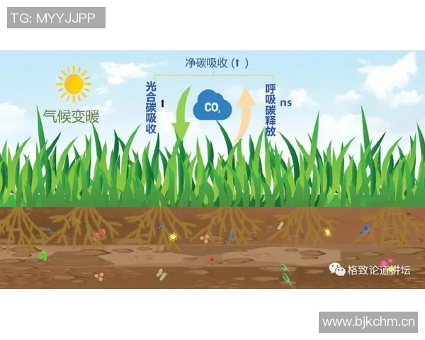 全球气候变化加剧 国际社会联合应对新挑战推动绿色转型行动